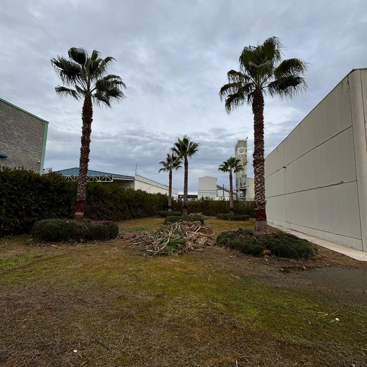 JARDINERIA CADE'S SEVILLA